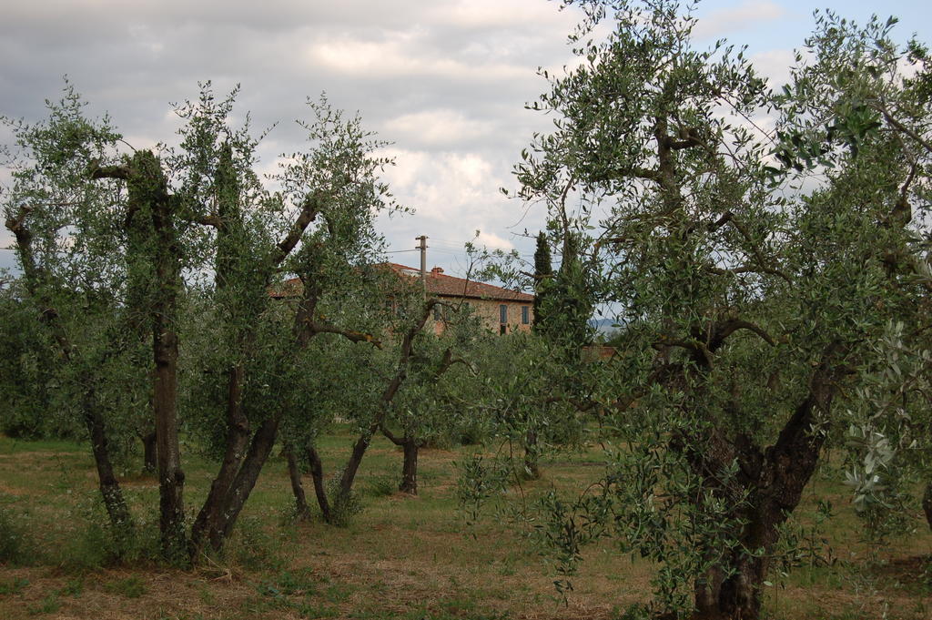 Podere Scaluccia Impruneta Ngoại thất bức ảnh