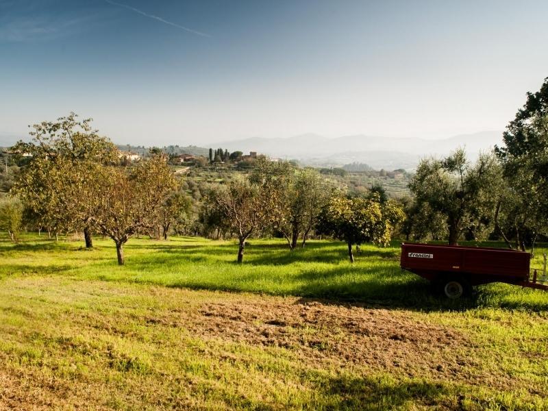 Podere Scaluccia Impruneta Ngoại thất bức ảnh